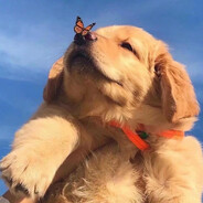 普罗旺斯开拖拉机的