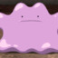 Ditto