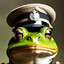 Captain Dookie