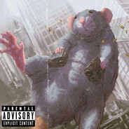 rat