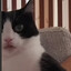 Hubert