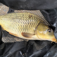 光威签约金牌大师钓手