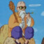 -Muten Roshi-