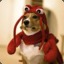 Lobster Dog*
