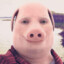 John Pork