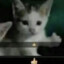 lazytalant