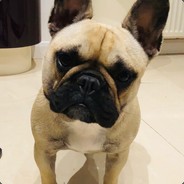 krust76y - steam id 76561197971023759