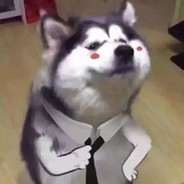 电竞少女莽狗蛋