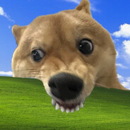 반도의 유일한 태양