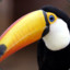 tucan