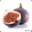 figs