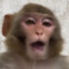 Bmbrd crcdl