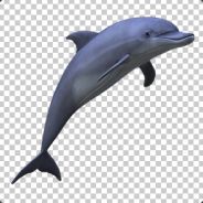 Furl - steam id 76561197971085615
