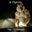 Жетоны на ебубабулек