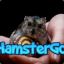 HamsterGo2014