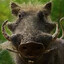 Pumba