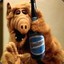 ALF