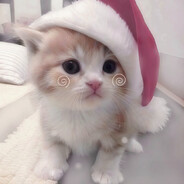 你迟来的顿悟很可爱