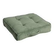 Cushion