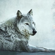 別碰我的後花園