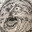 Beebo
