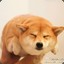 随云