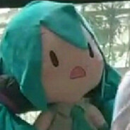 子非伯乐，安之我好马