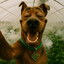scooby-dooby-doo