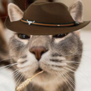 Mark The Cat Cowboy
