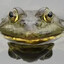 Frogmaxing