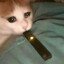 Xolod_Astr