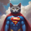 SuperCat