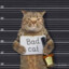 Bad Cat