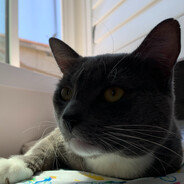 yaKn - steam id 76561198024002310