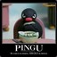 Pingugoeswild