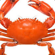 a normal crab