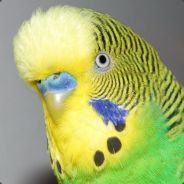 三年没玩刚上线