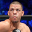 Nate Diaz