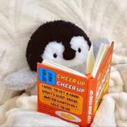 运筹帷幄的荷包蛋