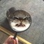 周千千