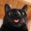 Arend