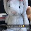 Cloudy the Grey Bunny