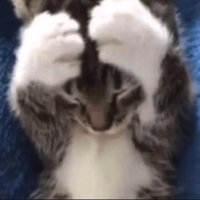 #dontplaywithme | d1zu