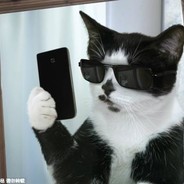 宇宙无敌大坏蛋