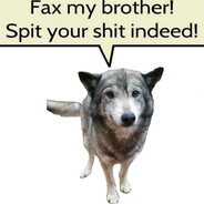 Mr.Wolf's Avatar