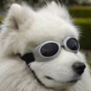 神龙化区一念间