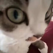 80岁老太螺旋落地睡觉