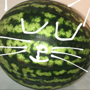 730
