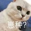 崽种？