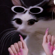 PALKA - steam id 76561199184065499